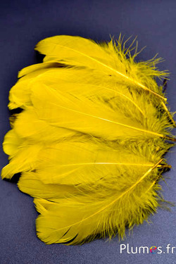 Gans - 11–15 cm - gelb-oliv  